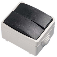 Doble conmutador de superficie estanco IP44